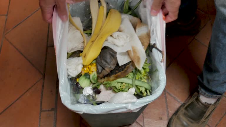 Reliable North Hills, NY Junk Removal Services Solutions
